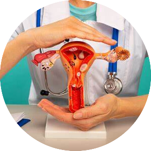 Gynecology